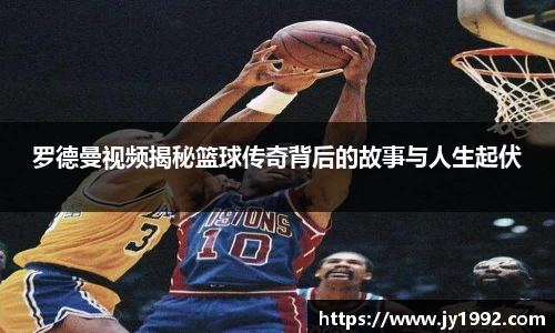 LD乐动官网
