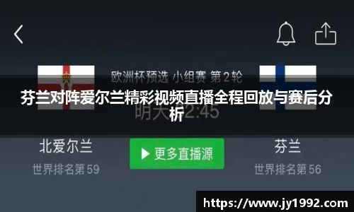 芬兰对阵爱尔兰精彩视频直播全程回放与赛后分析